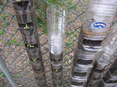 Horta vertical usando garrafas pet