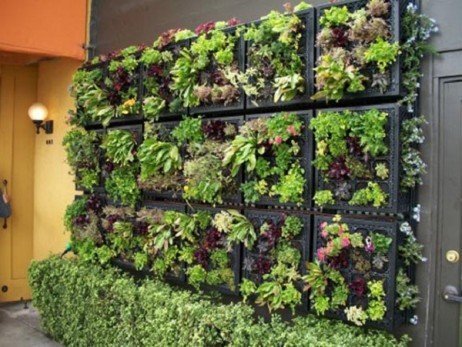 Horta vertical em pequenos espaços