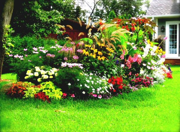 Dicas de jardinagem baratas e simples