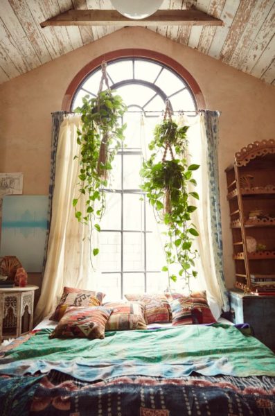 Como decorar casa com plantas
