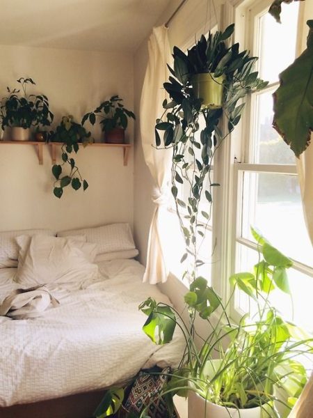 Como decorar quarto com plantas