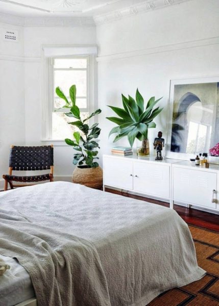 Variações de plantas no quarto
