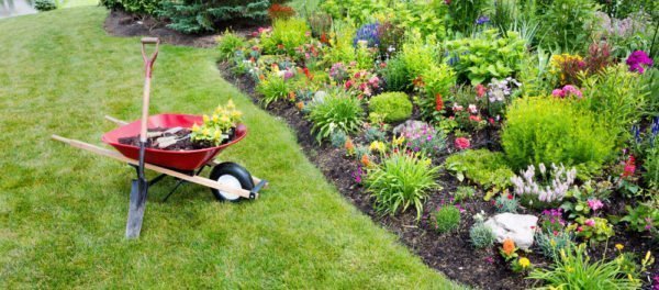 Manutenção básica de jardins