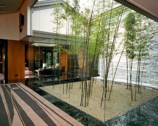 Bambu