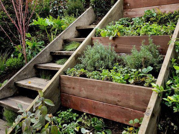 Como plantar em terreno irregular