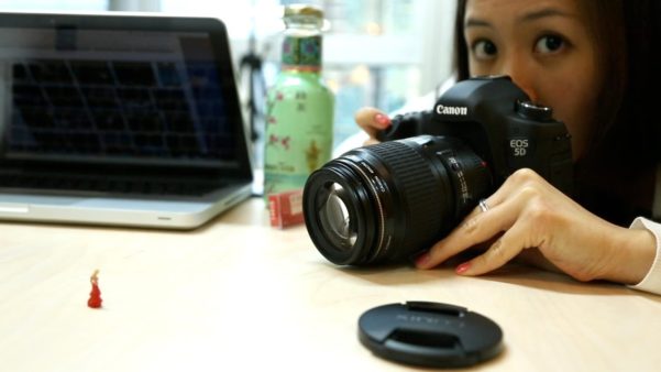 Como organizar fotografias