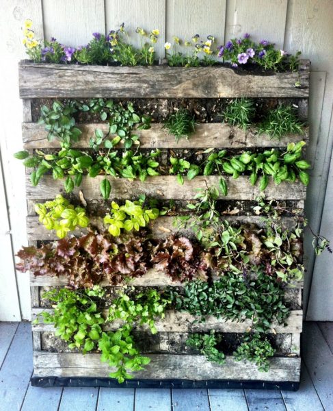 Como fazer jardim vertical com paletes
