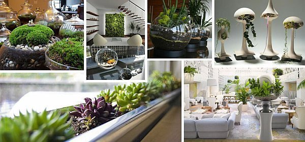 Decoração com terrários