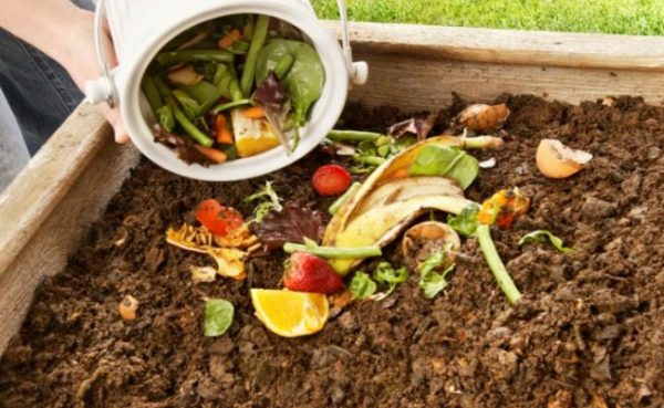 Compostagem
