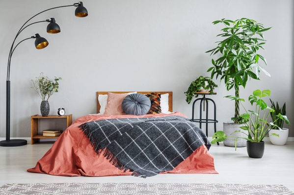 Plantas de quarto