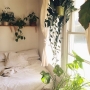 Quais as plantas ideais para o quarto?