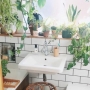 Como usar plantas no banheiro?