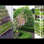 9 ideias para horta no quintal